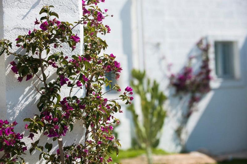 Masseria San Francesco - Genel