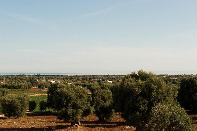 Masseria San Francesco - Genel