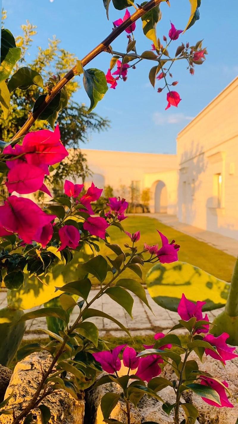 Masseria San Francesco - Genel