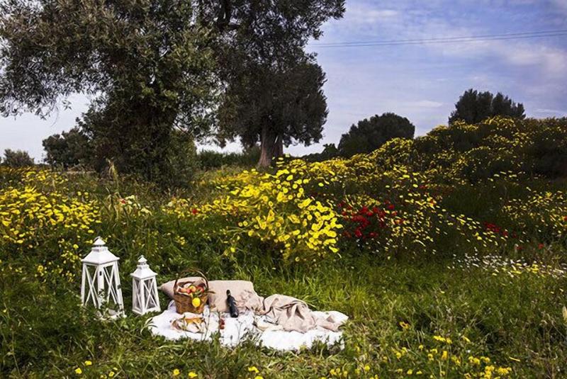 Masseria San Francesco - Teras