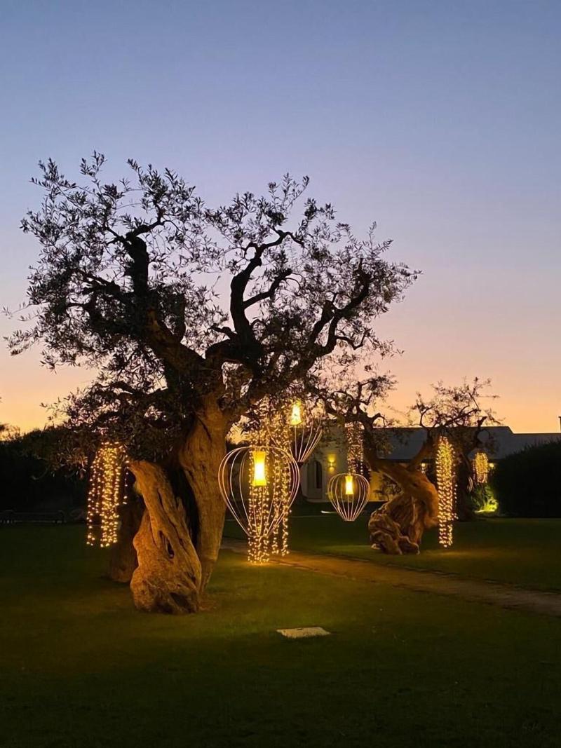 Masseria San Francesco - Teras
