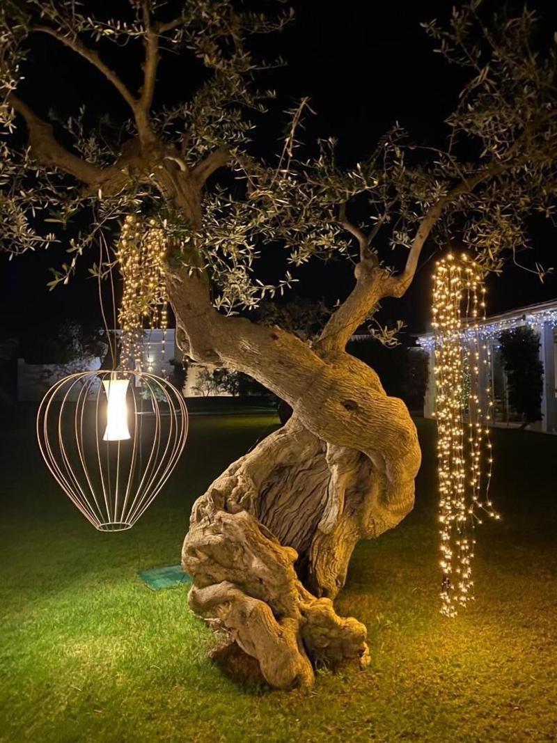 Masseria San Francesco - Teras