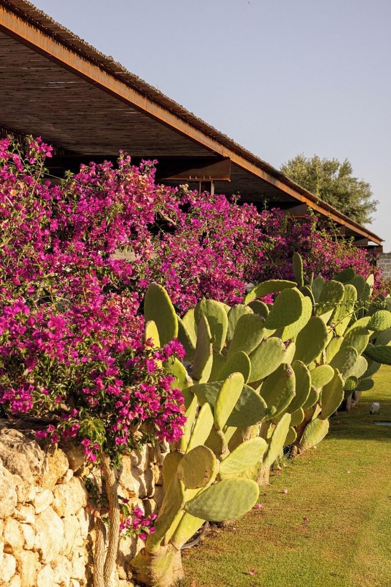 Masseria San Francesco - Teras