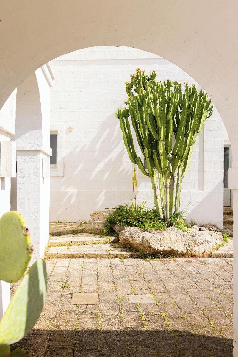Masseria San Francesco - Teras