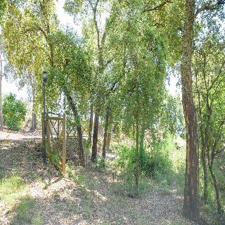 Quinta Do Bosque fotoÄŸrafÄ±