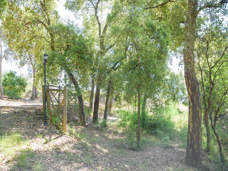 Quinta Do Bosque - Genel