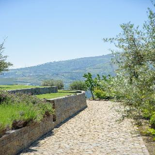 Quinta Do Bosque fotoÄŸrafÄ±
