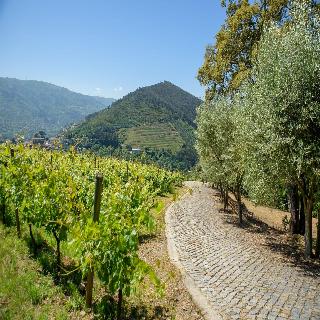 Quinta Do Bosque fotoÄŸrafÄ±