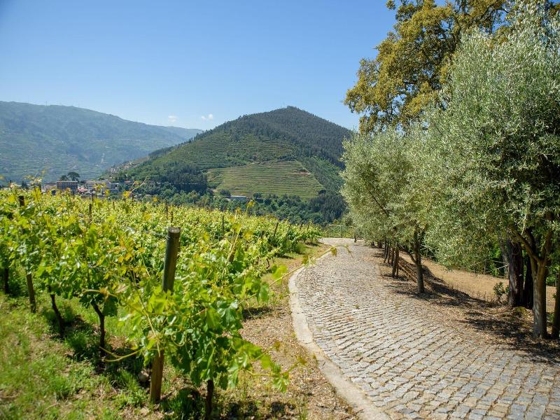 Quinta Do Bosque - Genel