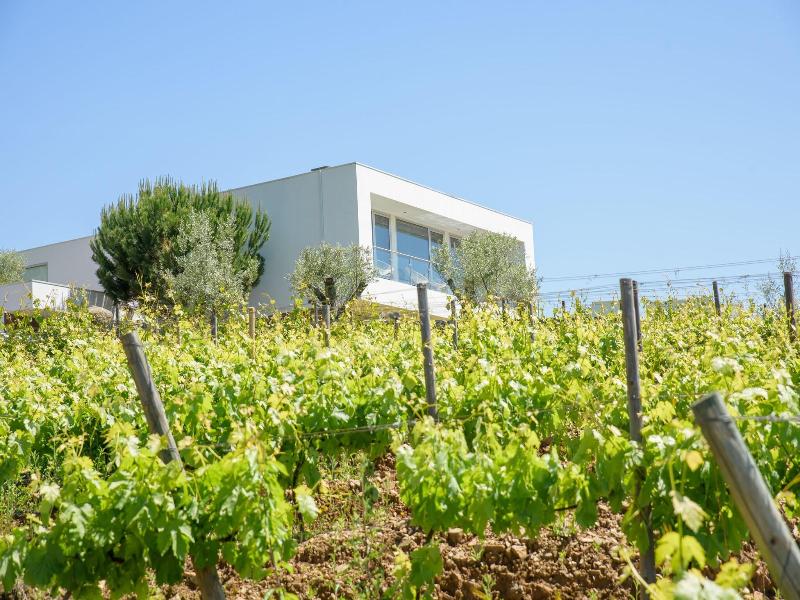 Quinta Do Bosque - Genel
