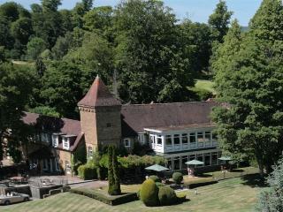 Badgemore Park B&B and Golf Club fotoÄŸrafÄ±