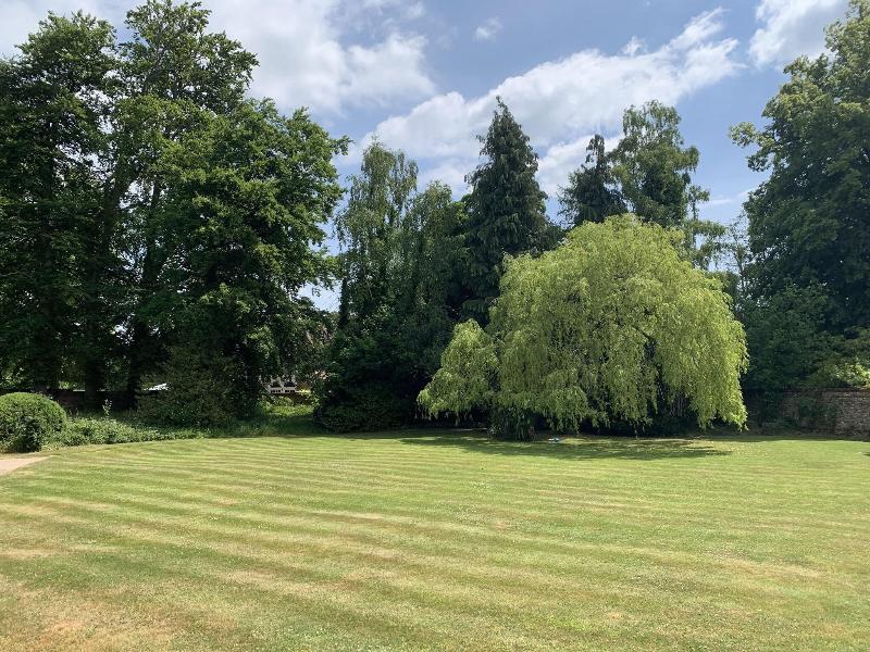 Badgemore Park B&B and Golf Club - Genel
