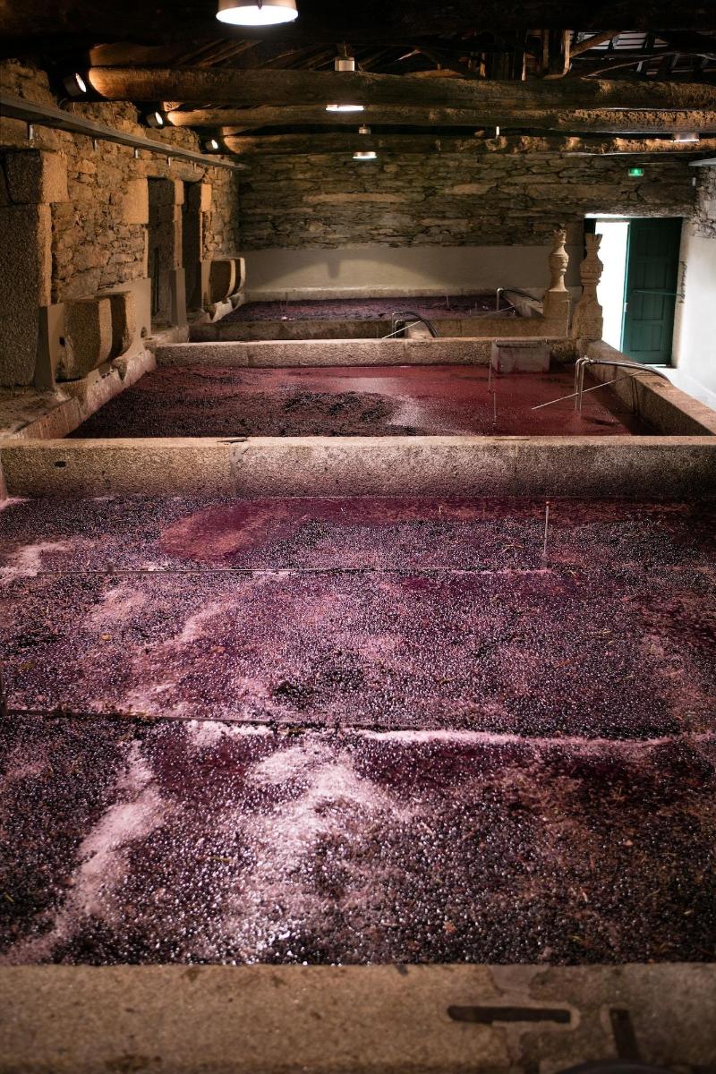 Quinta Da Gricha - Lobi