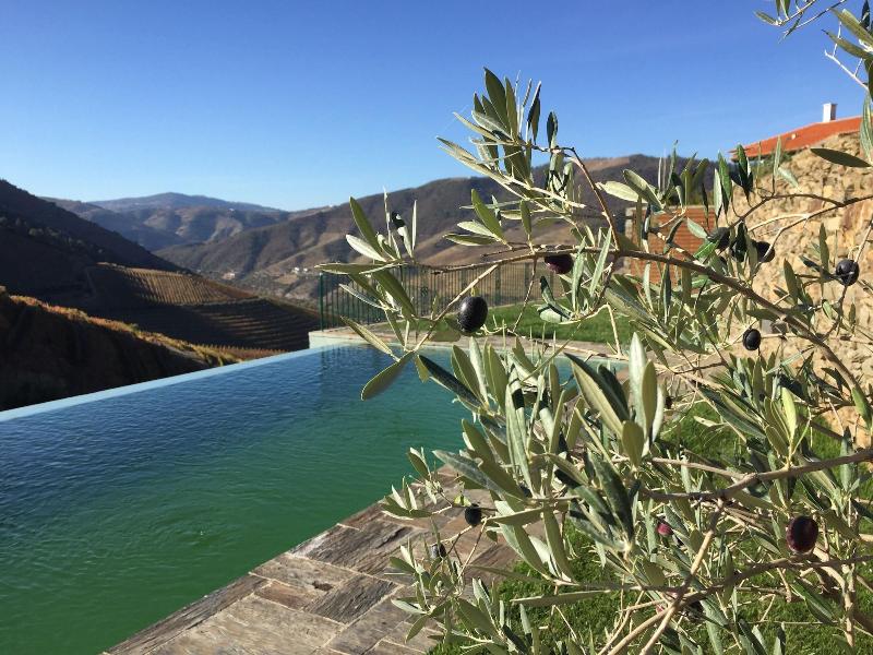Quinta Da Gricha - Aktivite
