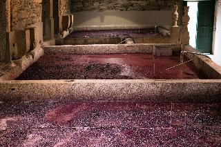 Quinta Da Gricha fotoÄŸrafÄ±