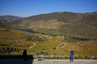 Quinta Da Gricha fotoÄŸrafÄ±