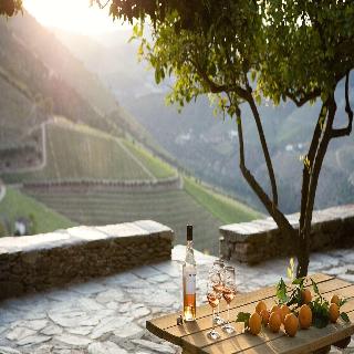 Quinta Da Gricha fotoÄŸrafÄ±