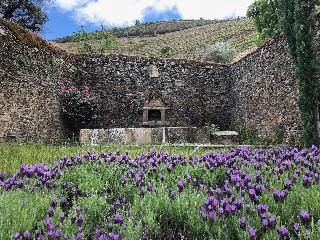 Quinta Da Gricha fotoÄŸrafÄ±