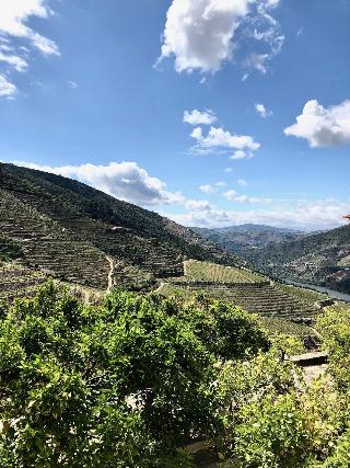 Quinta Da Gricha fotoÄŸrafÄ±