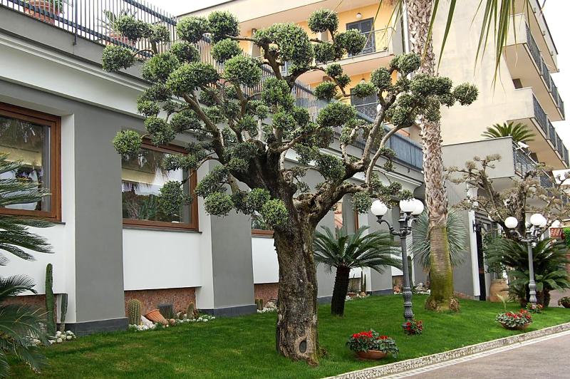 Hotel Ristorante Donato - Genel