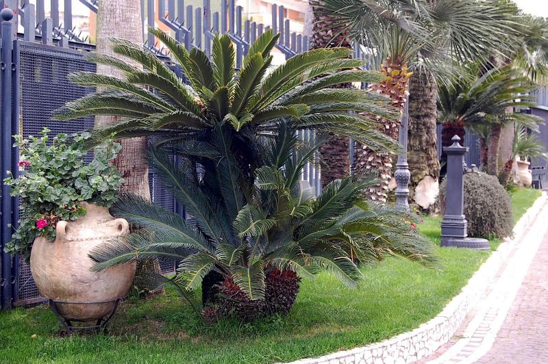 Hotel Ristorante Donato - Oda