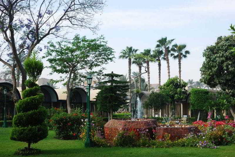 Pyramids Resort by Jaz otel fotoğrafı