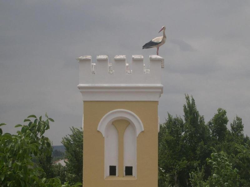 Quinta De Coalhos - Genel