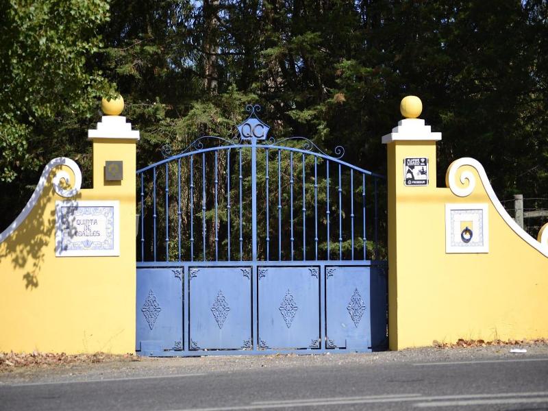 Quinta De Coalhos - Genel