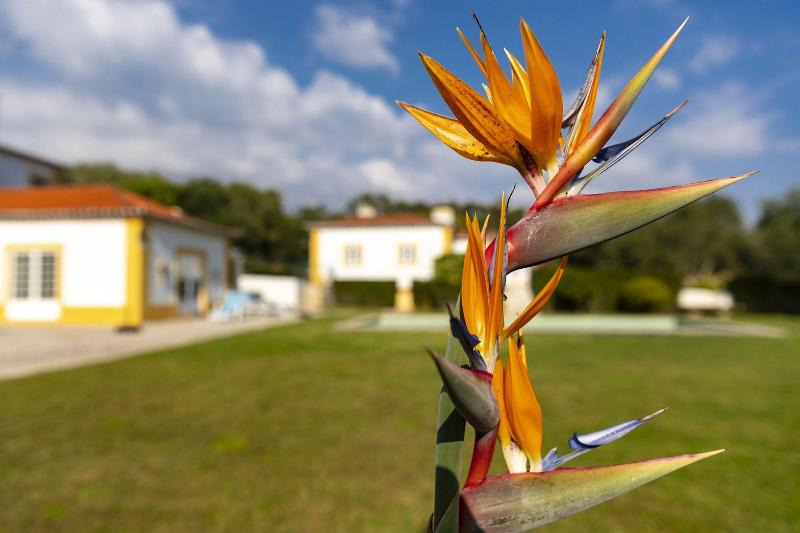 Quinta do Pé Descalço - Genel
