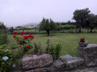 Casas Da Quinta Da Cancela fotoÄŸrafÄ±