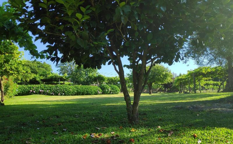 Casas Da Quinta Da Cancela - Genel