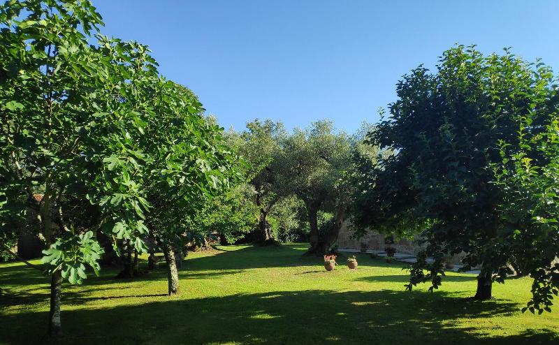 Casas Da Quinta Da Cancela - Genel
