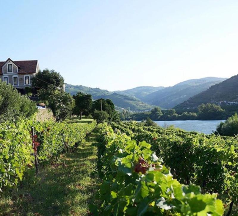 Quinta de S. Bernardo Winery & Farmhouse - Aktivite