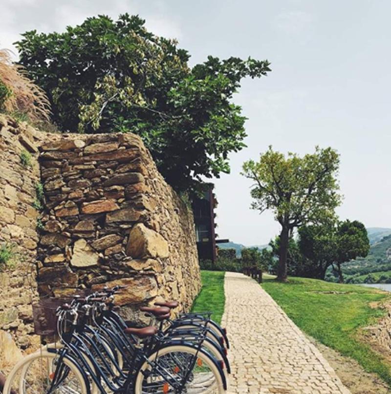Quinta de S. Bernardo Winery & Farmhouse - Aktivite