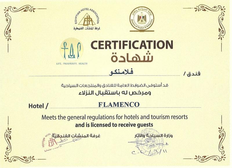 Golden Tulip Flamenco Cairo - Genel
