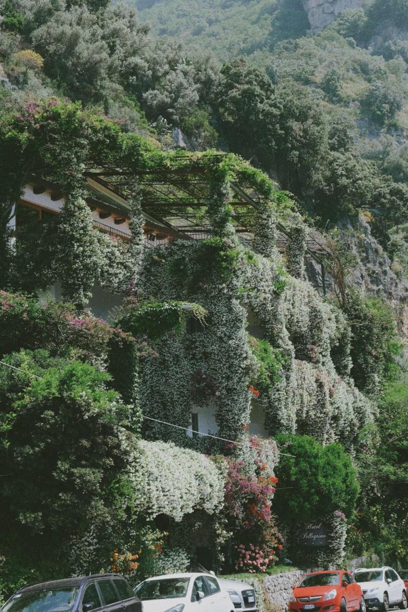 Hotel Pellegrino - Genel