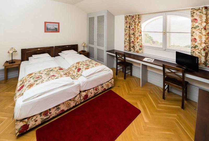 Károlyi Kastély Hotel & Restaurant - Oda