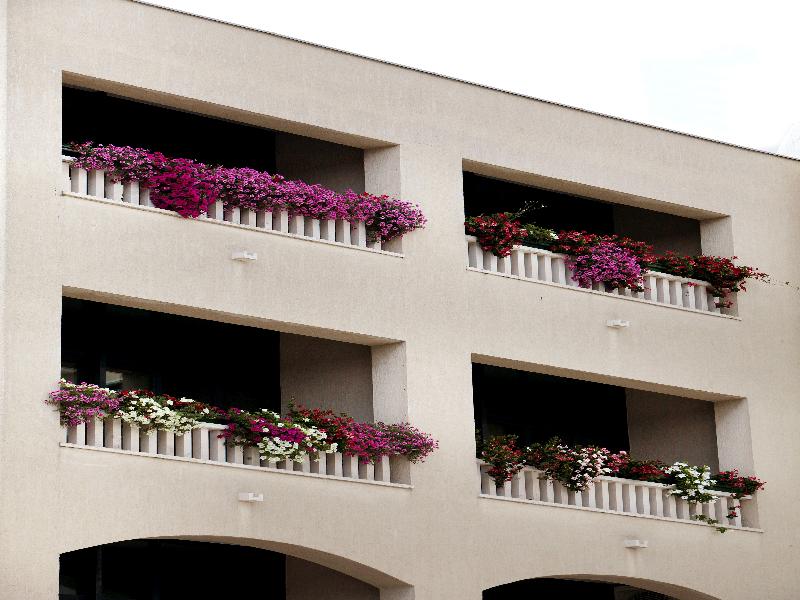 Aparthotel Bellevue - Genel