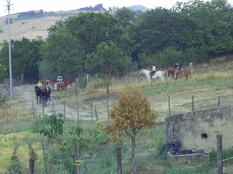 Agriturismo San Pietro - Aktivite