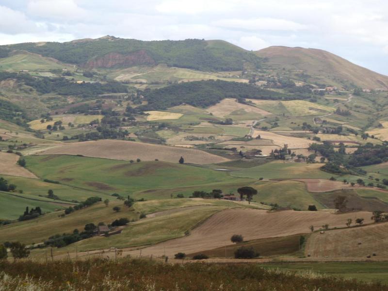 Agriturismo San Pietro - Aktivite