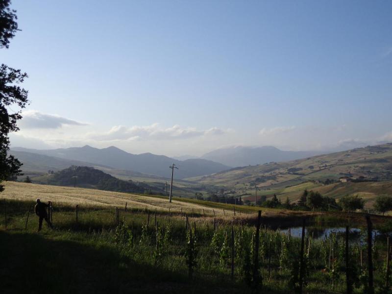 Agriturismo San Pietro - Genel