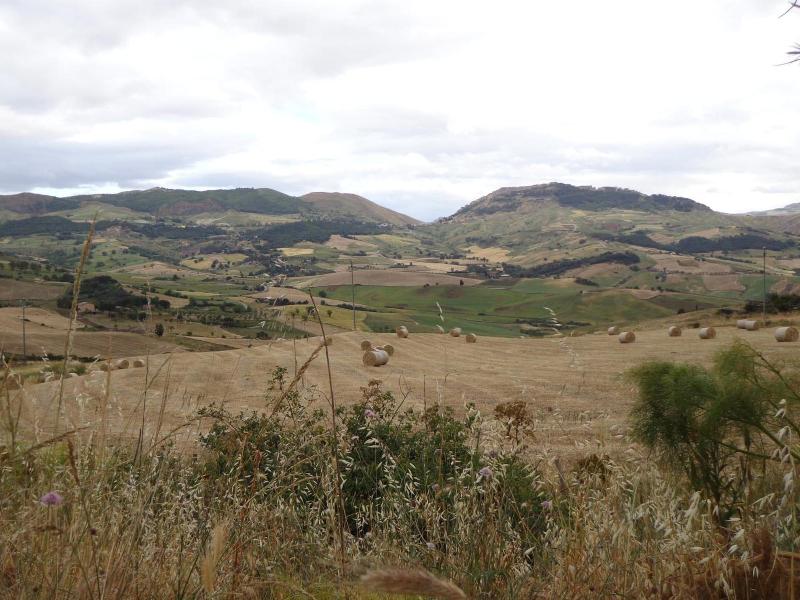 Agriturismo San Pietro - Genel