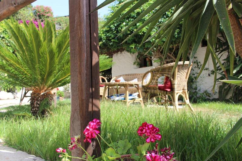 Hotel Mercurio - Genel