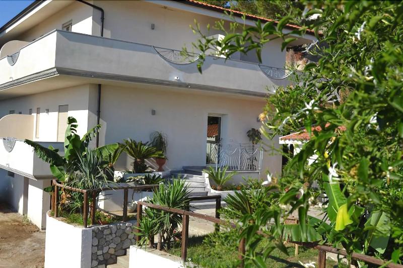 Hotel Mercurio - Genel