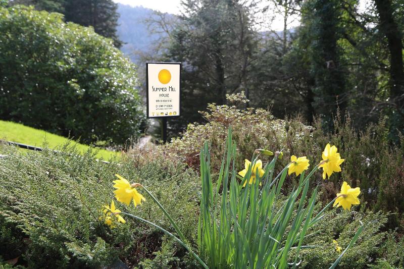 Summer Hill Guest House - Genel