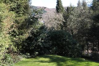 Summer Hill Guest House fotoÄŸrafÄ±
