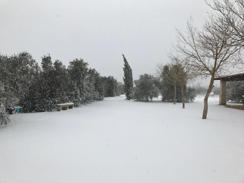 Masseria La Torre - Genel