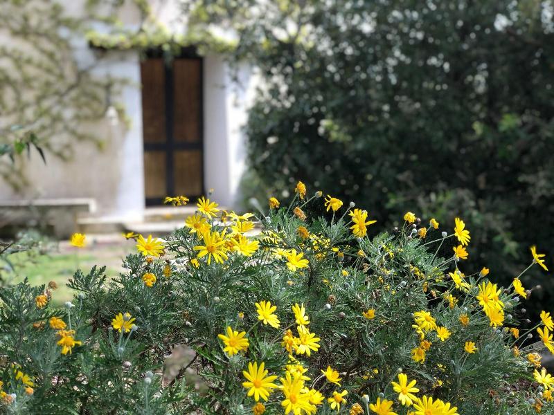 Masseria La Torre - Genel