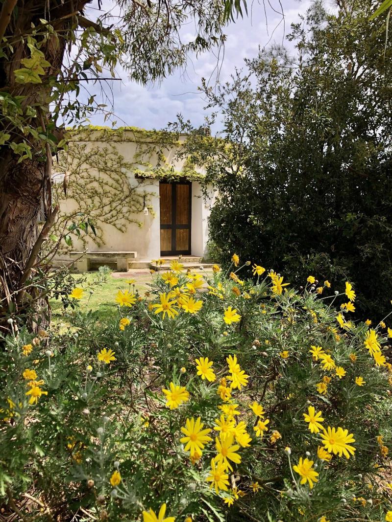 Masseria La Torre - Genel