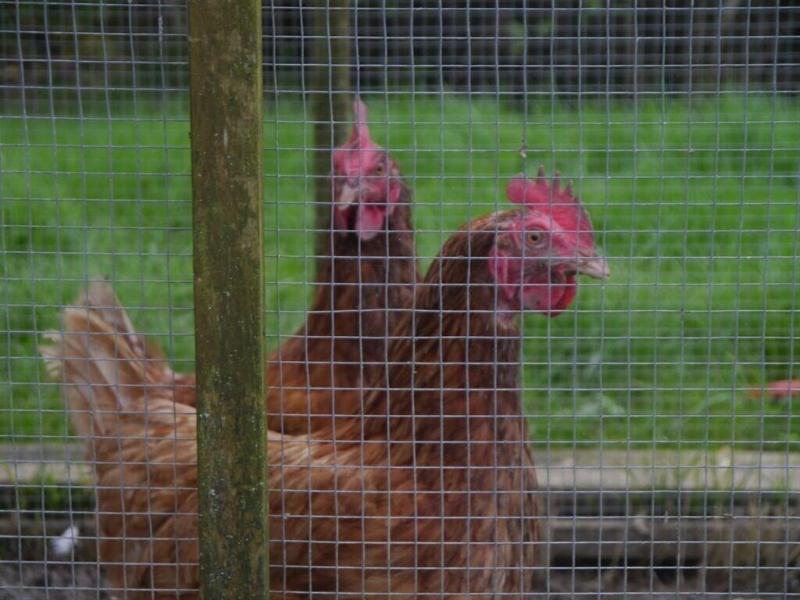 Hurst Farm - Genel